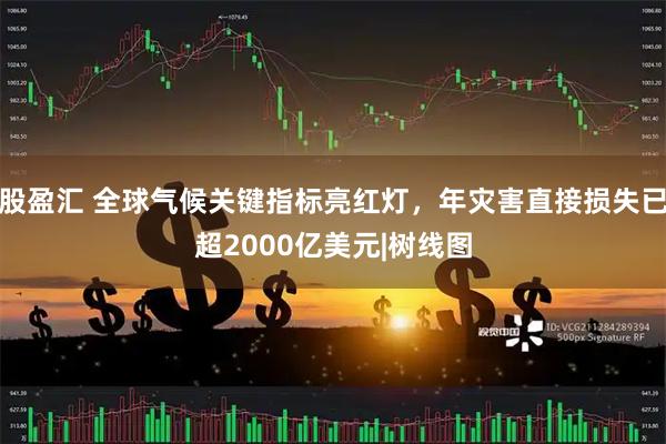 股盈汇 全球气候关键指标亮红灯，年灾害直接损失已超2000亿美元|树线图